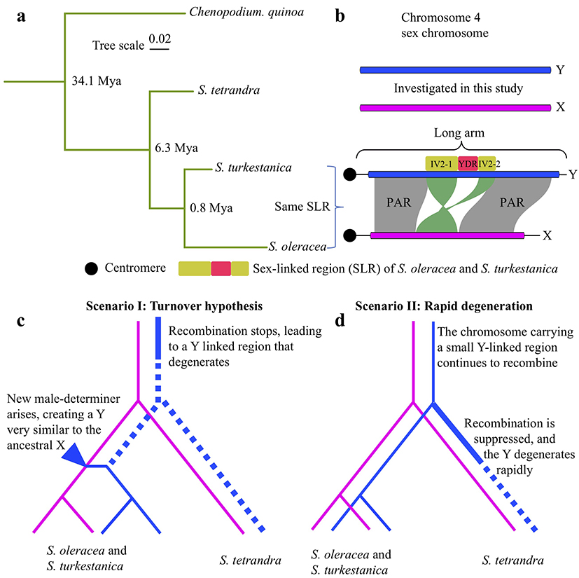 Figure 1.jpg