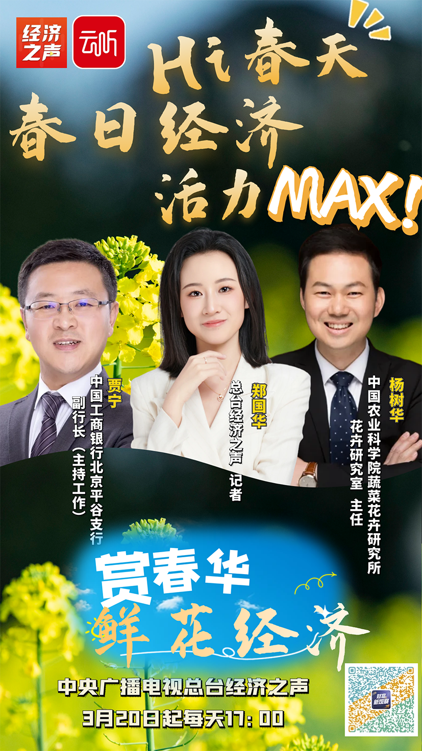 封面.png
