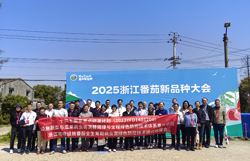 苍南观摩会2.jpg