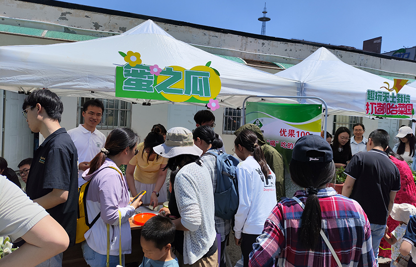 7甜瓜.jpg