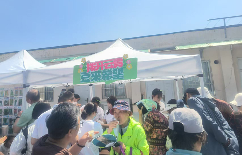 11.菠菜.jpg
