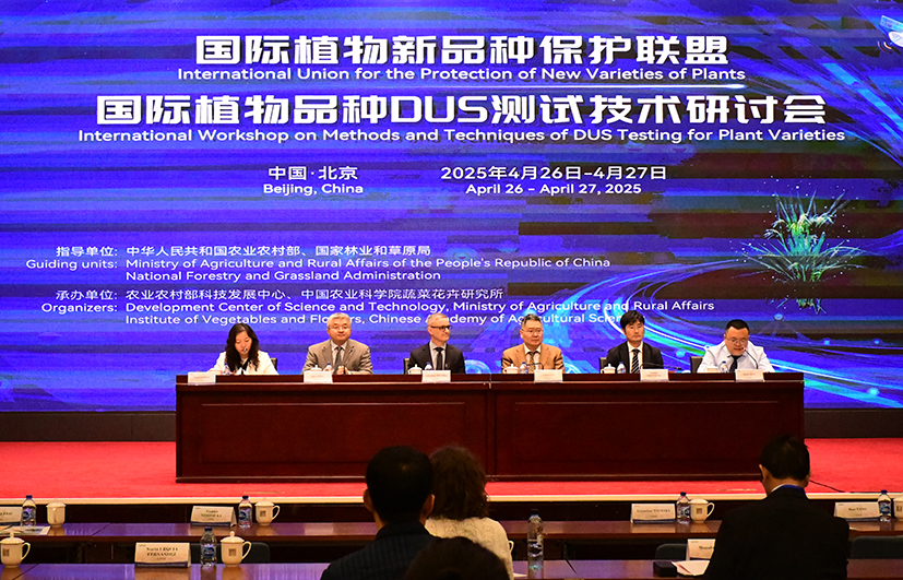 图5.JPG