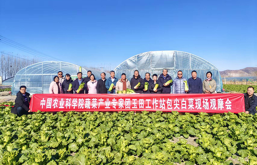 蔬菜产业专家团.jpg