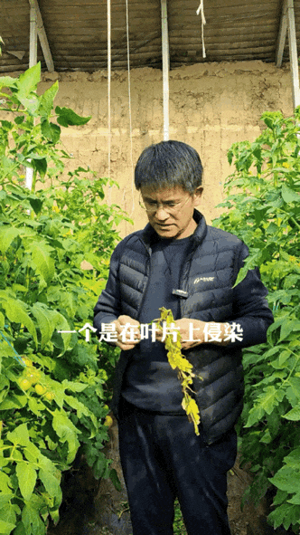 2.gif