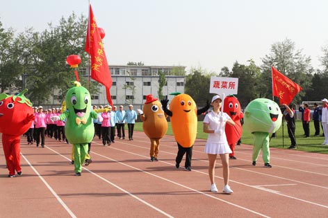 菠菜网站