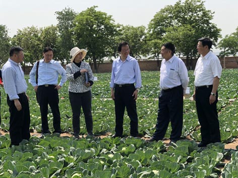 菠菜网站