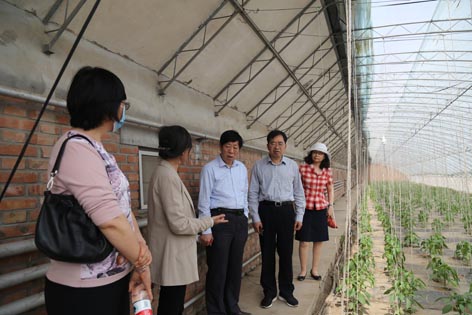 菠菜网站