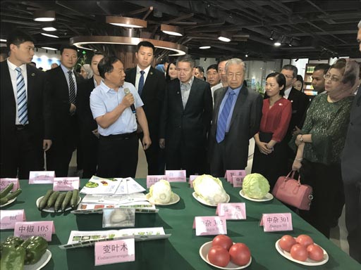 菠菜网站