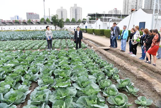 菠菜网站