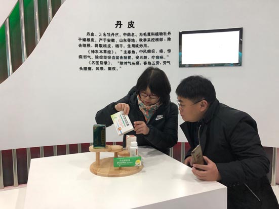 菠菜网站