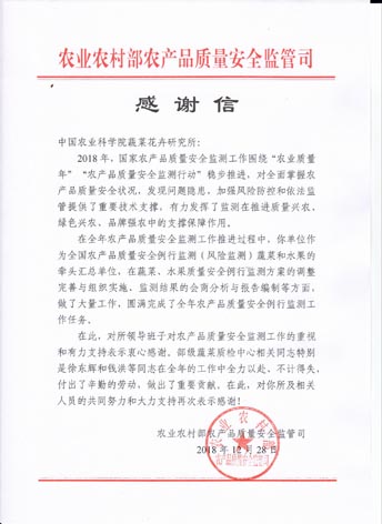菠菜网站