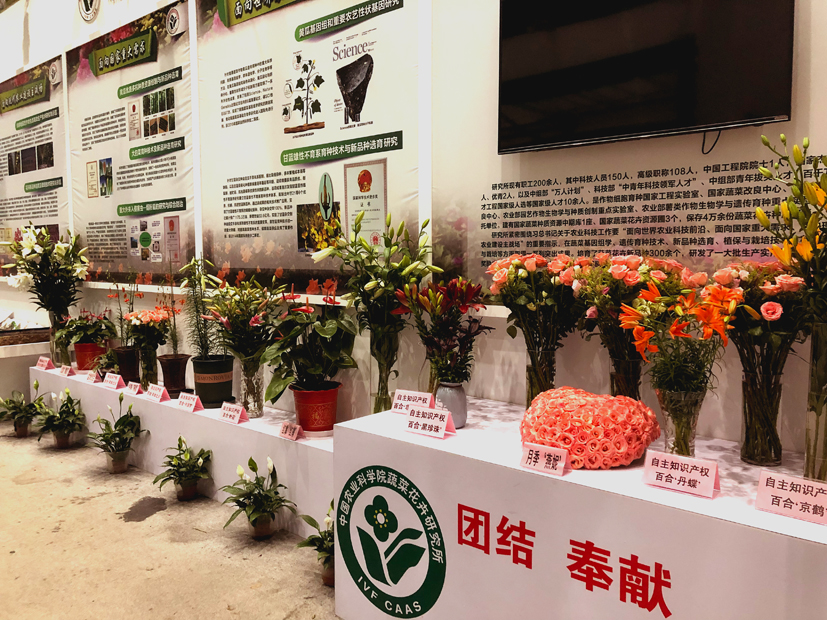 菠菜网站