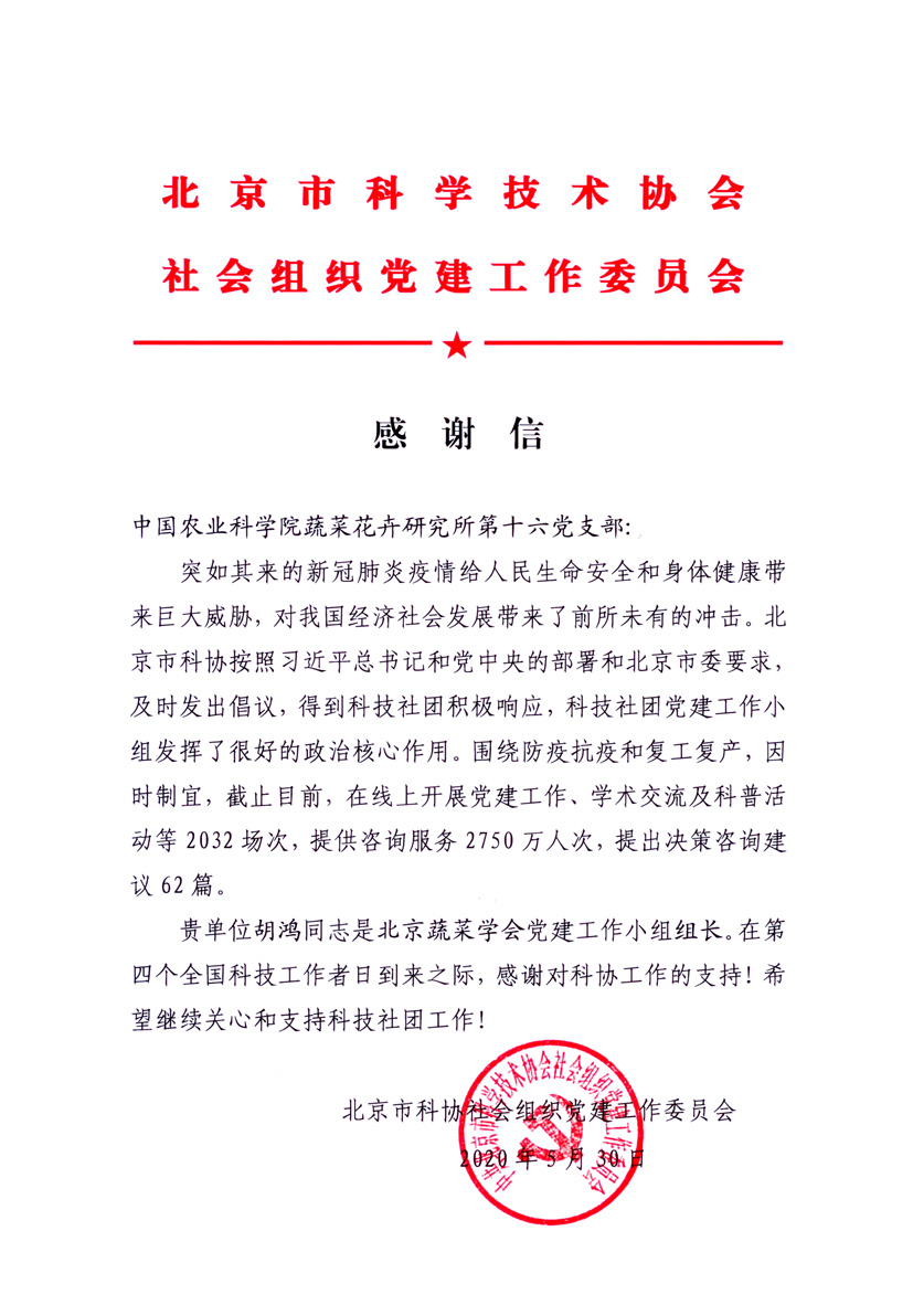 菠菜网站