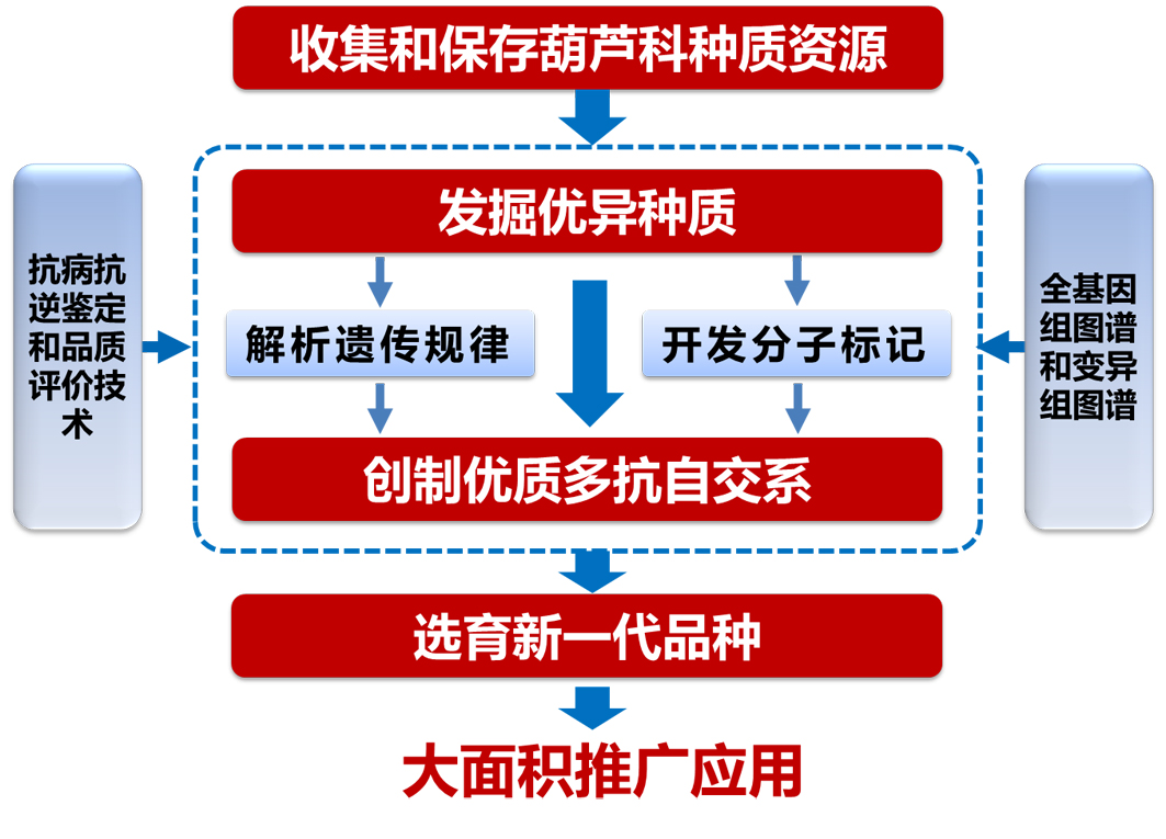 菠菜网站