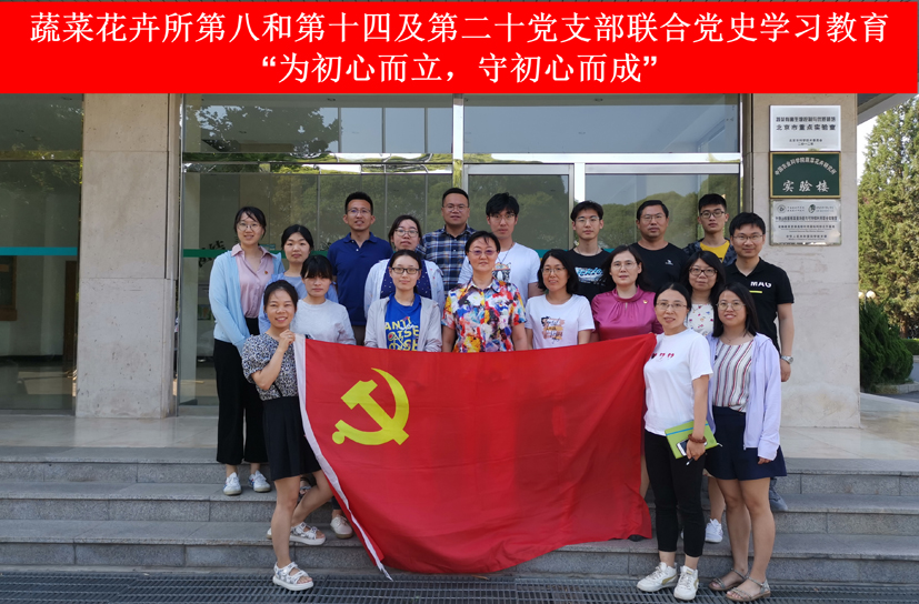 菠菜网站