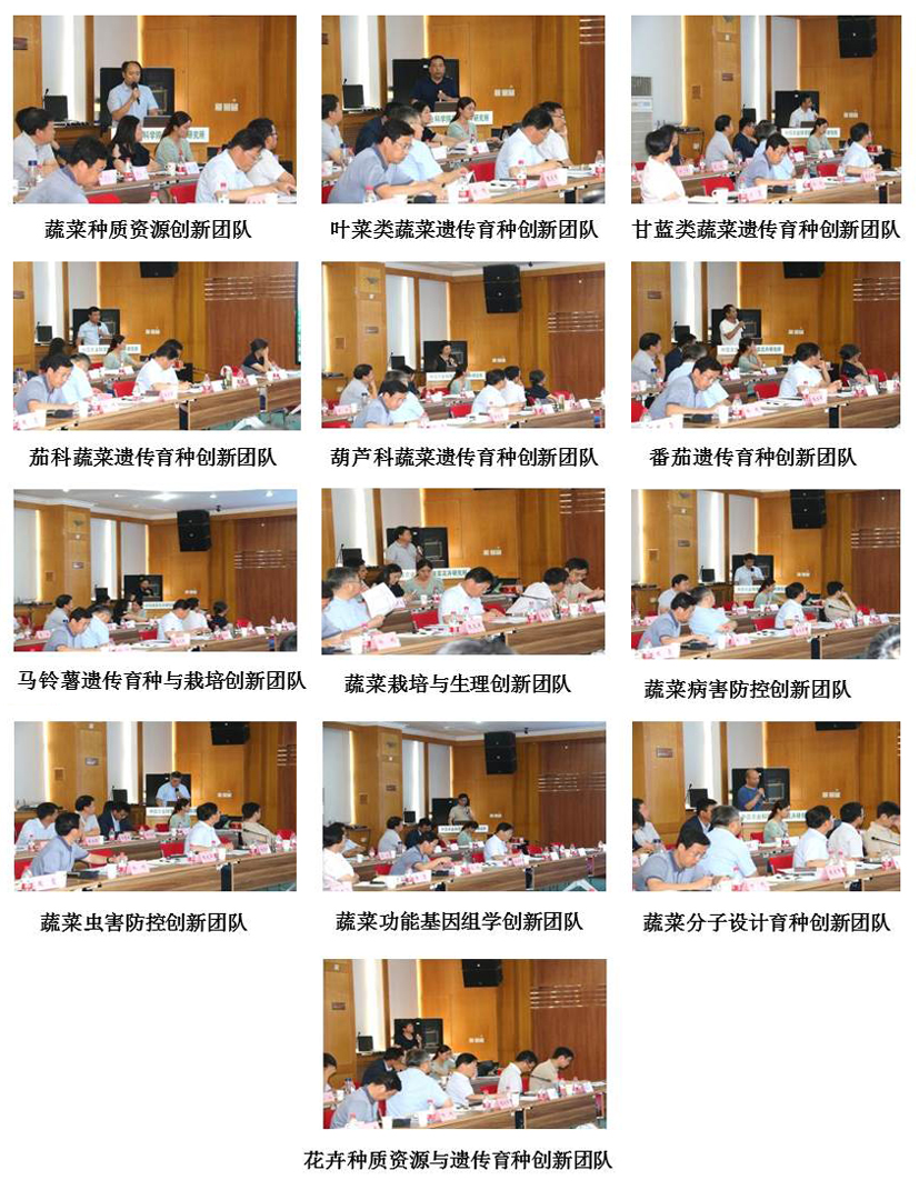 菠菜网站