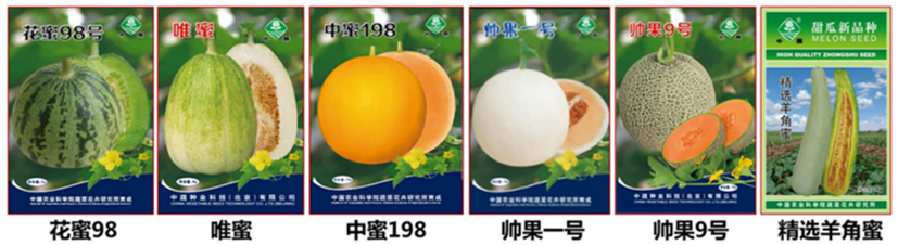 菠菜网站